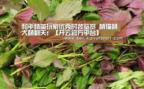 和平精英玩家优秀时装鉴赏 萌猫萌犬萌翻天!【开云官方平台】(图3) 开云官网