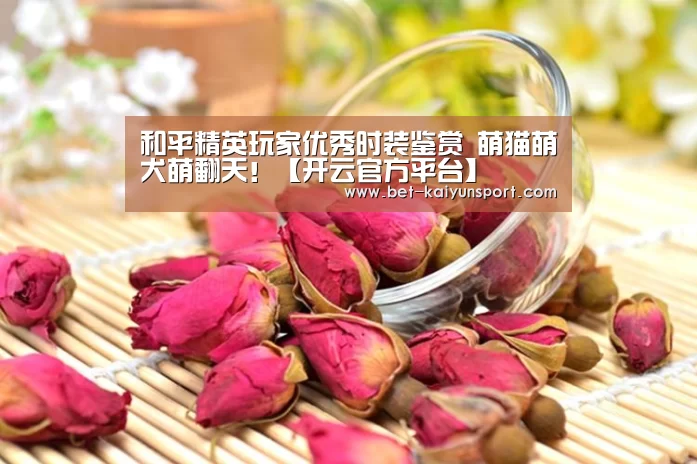和平精英玩家优秀时装鉴赏 萌猫萌犬萌翻天!【开云官方平台】(图2) 开云综合服务